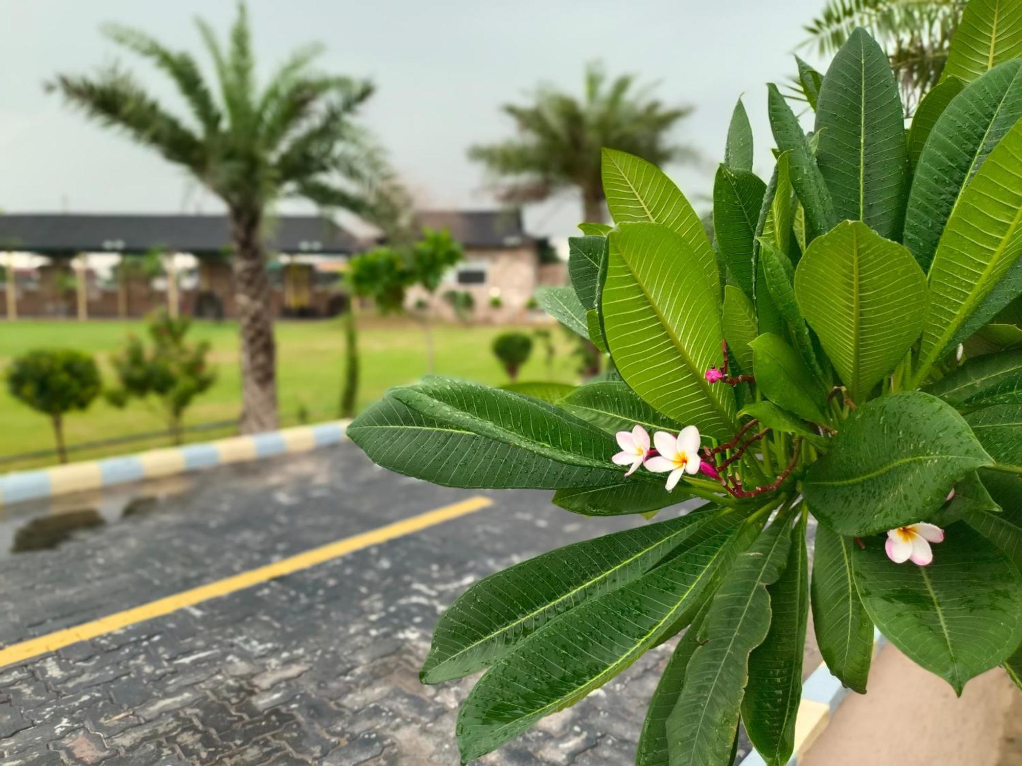 Royal Rajasthan Resort Sikar Экстерьер фото